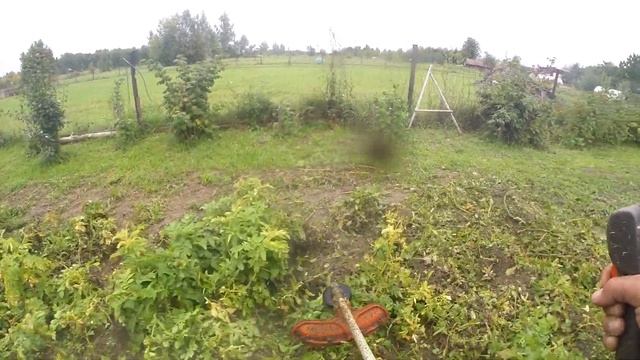Husqvarna 143R-II и  картофельная ботва
