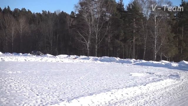 Басенджи Nabamba Shanita (красн). МЗ-2017.