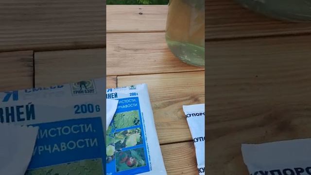 Как правильно развести бордоскую смесь для обработки томатов, перцев, огурцов от фитофторы смотреть онлайн