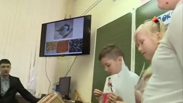 Помогите птицам! смотреть онлайн