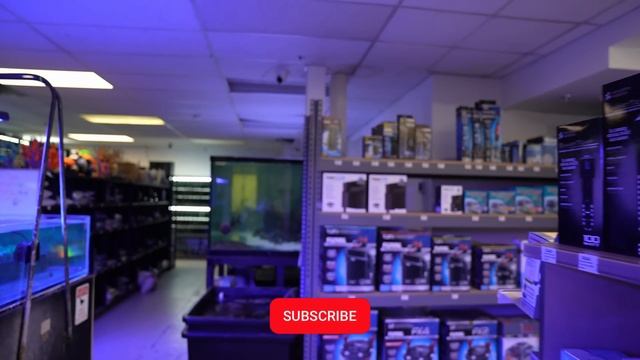 Touring the KING OF DIY's Local Aquarium Store! 1Fish2Fish in Canada смотреть онлайн