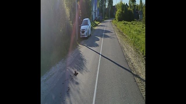 ДТП смотреть онлайн