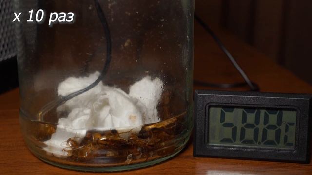 СтройЗагадки