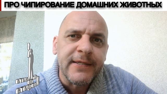 ПРО ЧИПИРОВАНИЕ ДОМАШНИХ ЖИВОТНЫХ смотреть онлайн