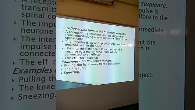 FORM 4;BIOLOGY; TOPIC;RECEPTION,RESPONSE AND COORDINATION,LESSON 09;MR.MESHACK KODIKO смотреть онлайн