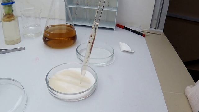 Черенкование ананаса из хвостика смотреть онлайн