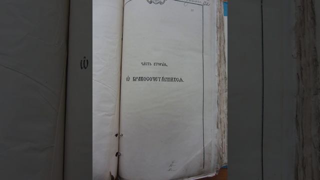 Метрическая книга села Тюрино Шацкого уезда за 1883 год смотреть онлайн