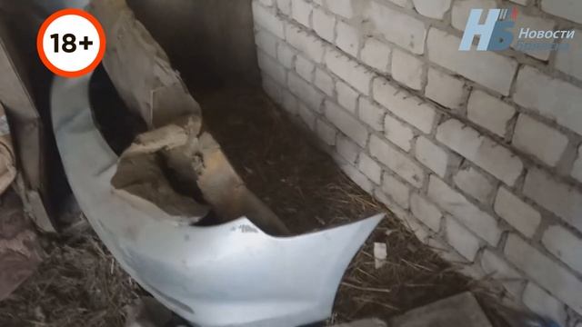 Кладбище домашних животных Брянск смотреть онлайн