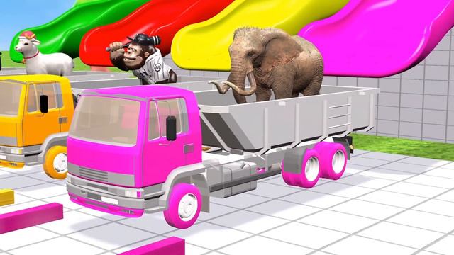 5 Giant Duck, Monkey, Piglet, Chicken, Dog, Elephant, Cow, Sheep Transfiguration Funny Animal 2023