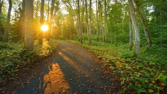 Расслабляющая Успокаивающая Музыка для Пробуждения и Гармонизации Пространства: Музыка для Души смотреть онлайн