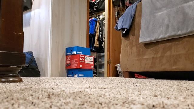 2 huskies + 1 Cheese wrapper смотреть онлайн