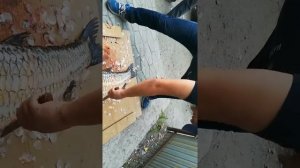 Мастер класс по чистке Амура