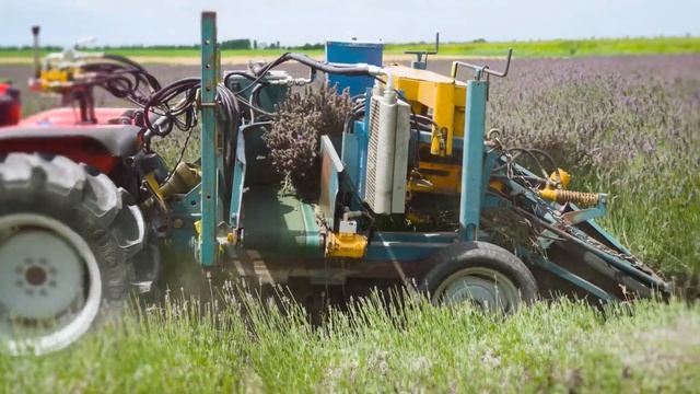 Здоровый Образ Жизни