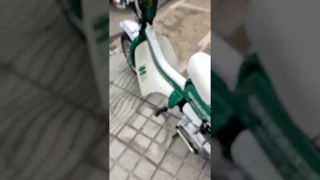Suzuki Fz 50 Verde Original смотреть онлайн