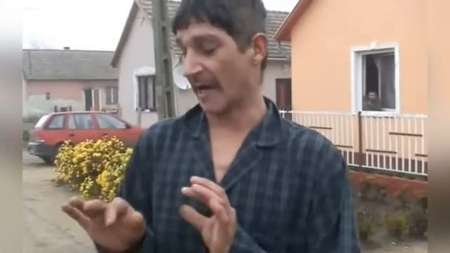 FUN coub #32 / видео приколы / coub 2019 / животные / смешные животные / приколы 2019 / cube смотреть онлайн