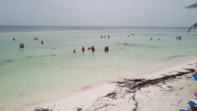 Cuba | Cayo Blanco | Catamaran Tour | Delphine | Drone | 4K смотреть онлайн