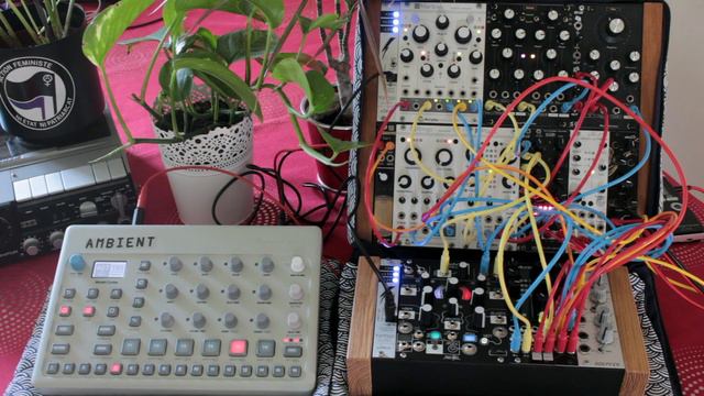 "waterfall whisper" // tiny ambient modular w/ MI Rings, Ritual Electronics & Elektron Model:Cycles смотреть онлайн