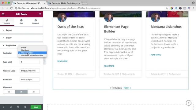 The Posts Element Tutorial | Elementor Pro смотреть онлайн