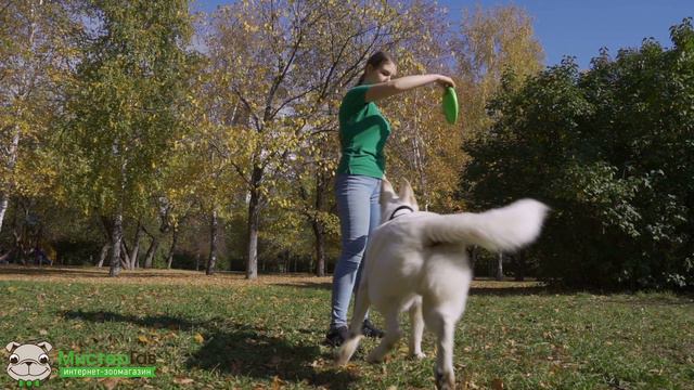 Летающая тарелка Flyber смотреть онлайн