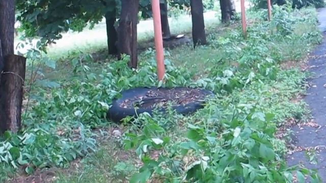 Проверка видеокамеры G 12 смотреть онлайн