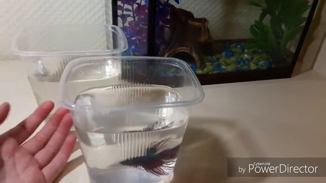 Для чего мне пустой аквариум?! смотреть онлайн