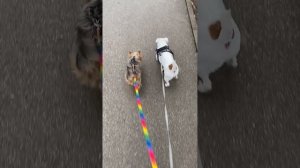 Надо подкачаться, ведь уже весна 🤪