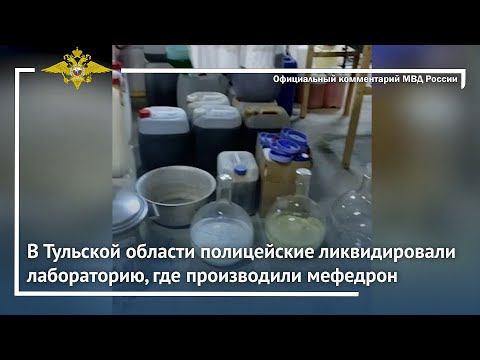 Ирина Волк: В Тульской области полицейские ликвидировали лабораторию, где производили мефедрон смотреть онлайн