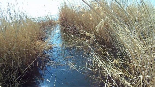 Подводная Охота или Сезон 2019 открыт (Лёд Сошёл) смотреть онлайн