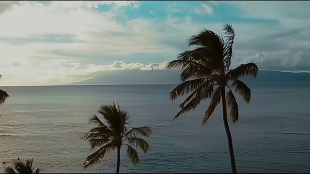 Filatov & Karas Vs Мумий Тролль - Amore Море, Goodbye! ? #filatovkaras #music #summer