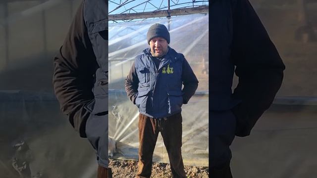 Печь длительного горения для теплицы смотреть онлайн