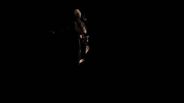 Skeleton Animation смотреть онлайн