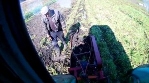 Картофелекопалка 4U-1 в работе.