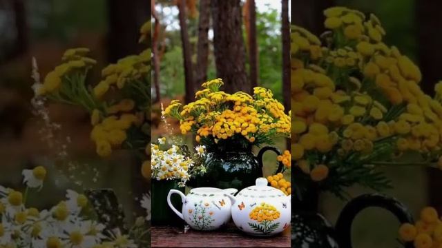 С ДОБРЫМ УТРОМ смотреть онлайн
