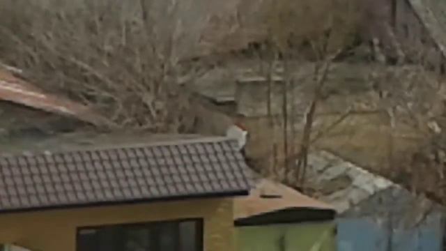 Слендер мен!!!18+ смотреть онлайн