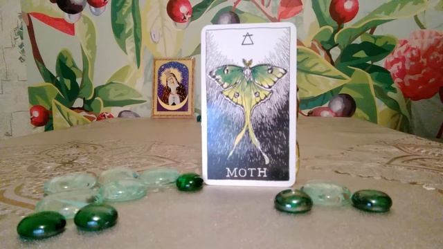 Карта !!!!! МОТЫЛЁК !?! смотреть онлайн