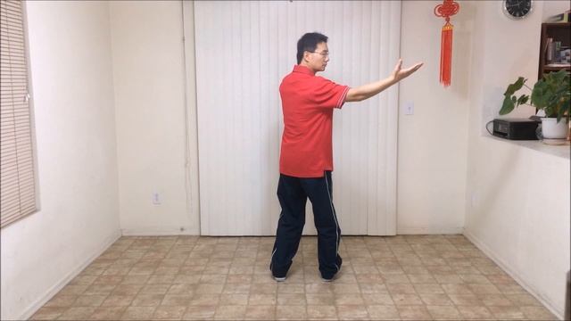 8 Form Tai Chi (8-1, Repulse monkey) смотреть онлайн