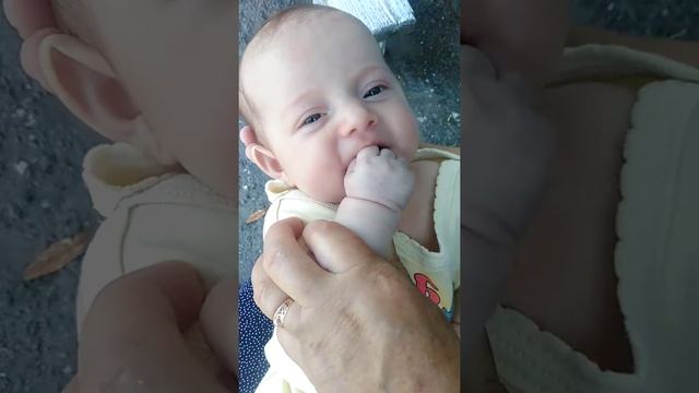 Двухмесячный ребёнок отдыхает на природе смотреть онлайн