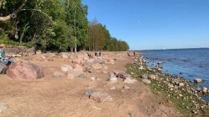 ЕДЕМ НА МОРЕ! ПЛЯЖИ САНКТ-ПЕТЕРБУРГА, ФИНСКИЙ ЗАЛИВ.
