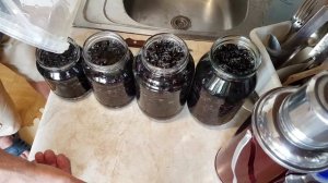 Черная смородина с медом, готовим на зиму.