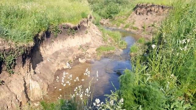 Что посмотреть в России? Конечно красивую природу. Наш поход на Мастиновский пруд. смотреть онлайн