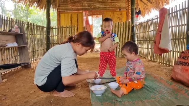 FULL VIDEO: Harvesting Vegetables, Papaya, Gourds, Apples, Tangerines - Bring To Market To Sell
