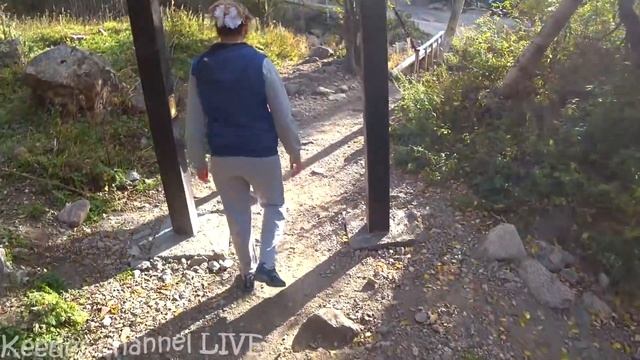 Трава и грибы для Рыжика смотреть онлайн