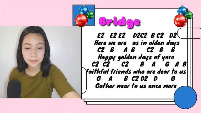 Have Yourself A Merry Little Christmas/FLUTE RECORDER COVER with Letter Notes смотреть онлайн