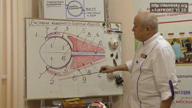 Положение глаза в глазнице смотреть онлайн
