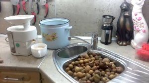 КРАХМАЛ КАРТОФЕЛЬНЫЙ дома за 15 минут ( для быстрого использования)