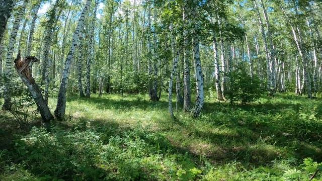 Природа лучший антидепрессант. Красноуфимский округ. смотреть онлайн