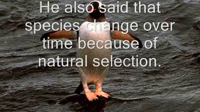 Evolution: The Epic Battle смотреть онлайн