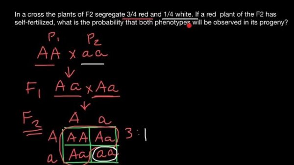 F3 Generation Probability problem