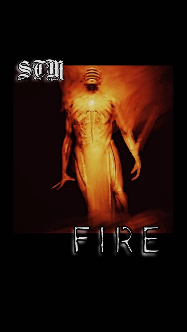 Swallow the Moon - F I R E (Video sequence - Diablo IV)