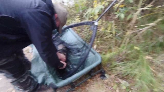 Современный капрфишинг. Трофейная рыбалка на карпа смотреть онлайн